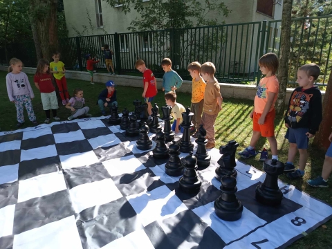 Asy grają w szachy terenowe